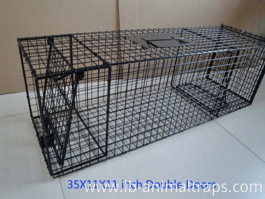 Pest Control Steel Wire Mesh